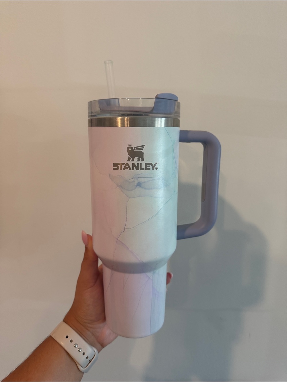 40 oz Stanley Tumbler